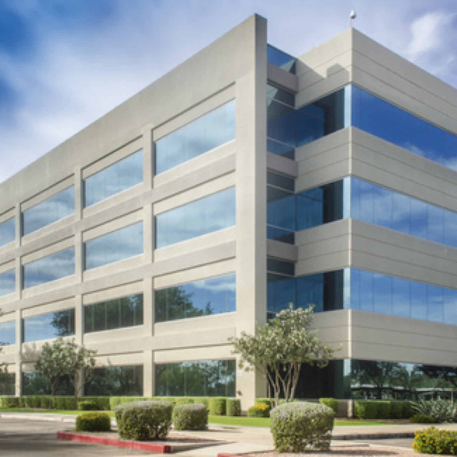 <?php echo pulse_output(); ?>