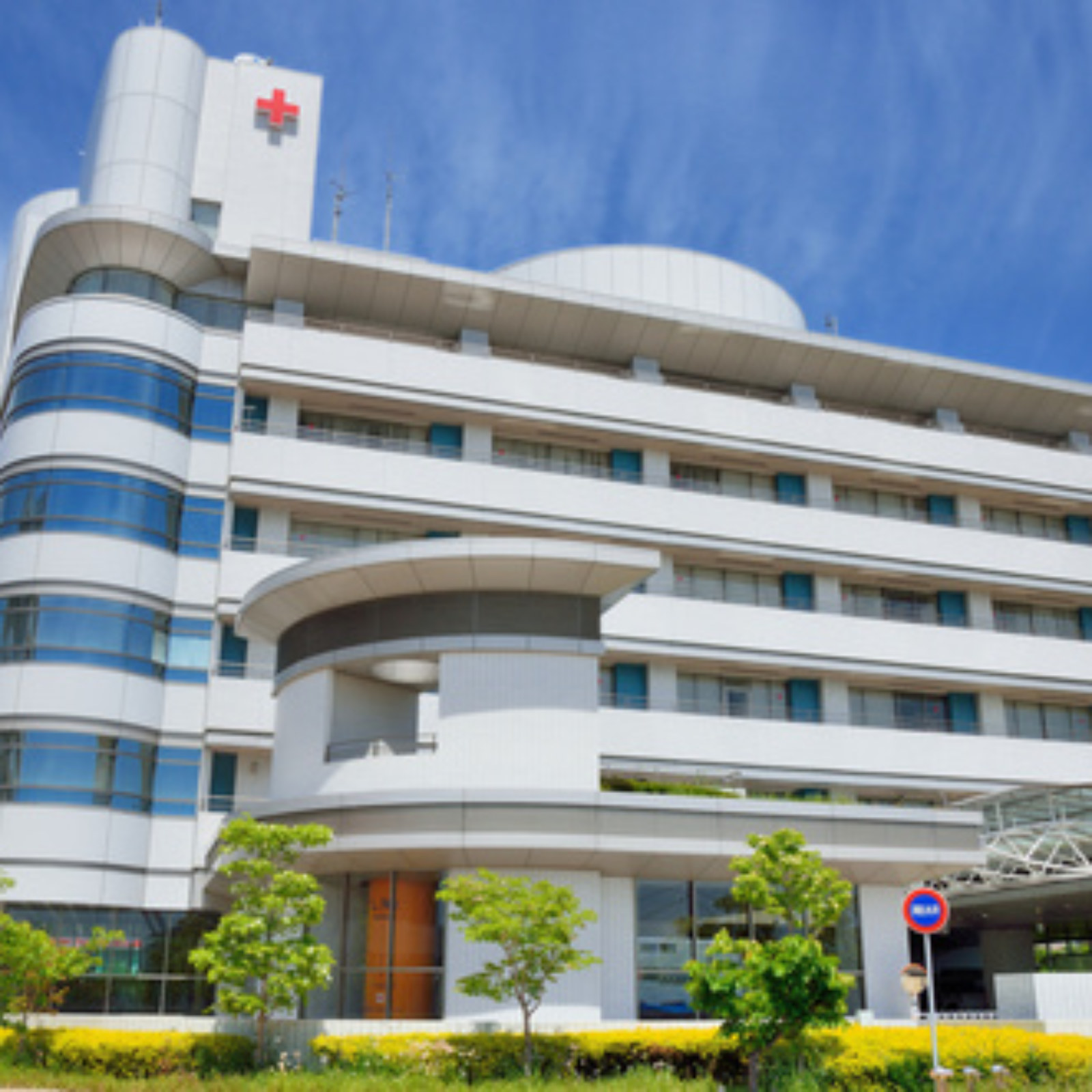 <?php echo pulse_output(); ?>