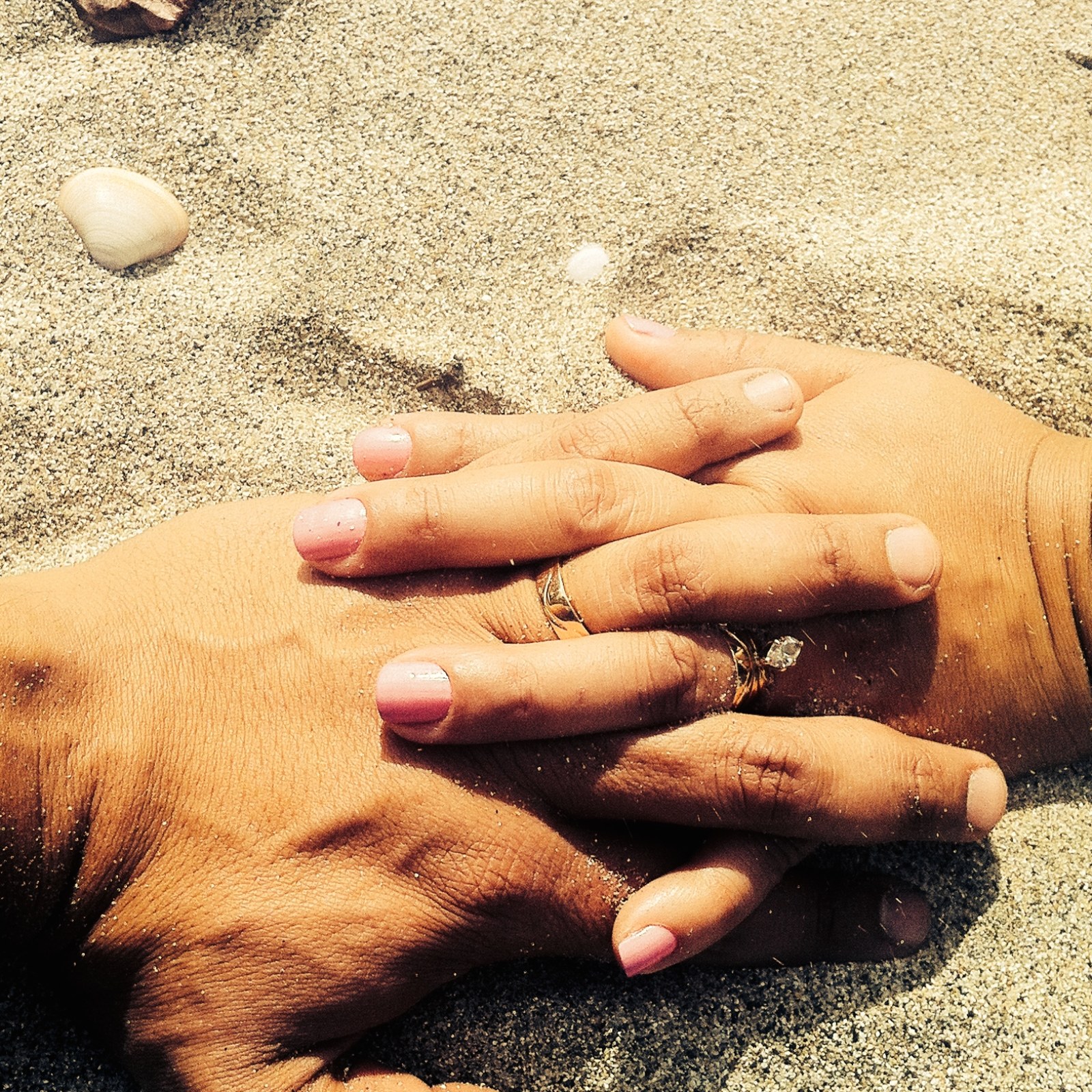 <?php echo pulse_output(); ?>