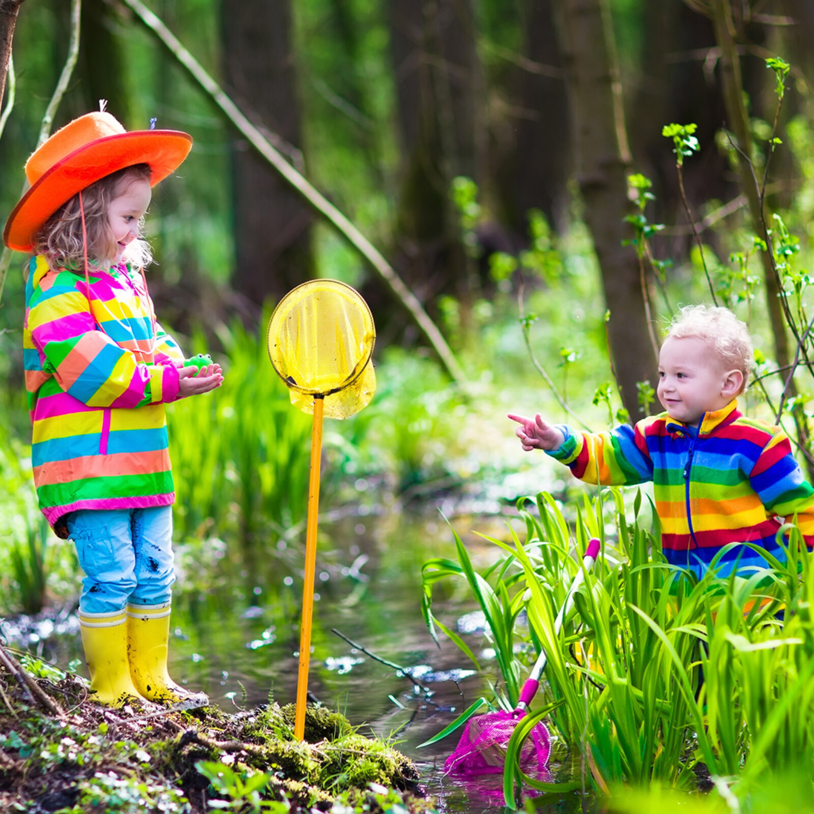 <?php echo pulse_output(); ?>