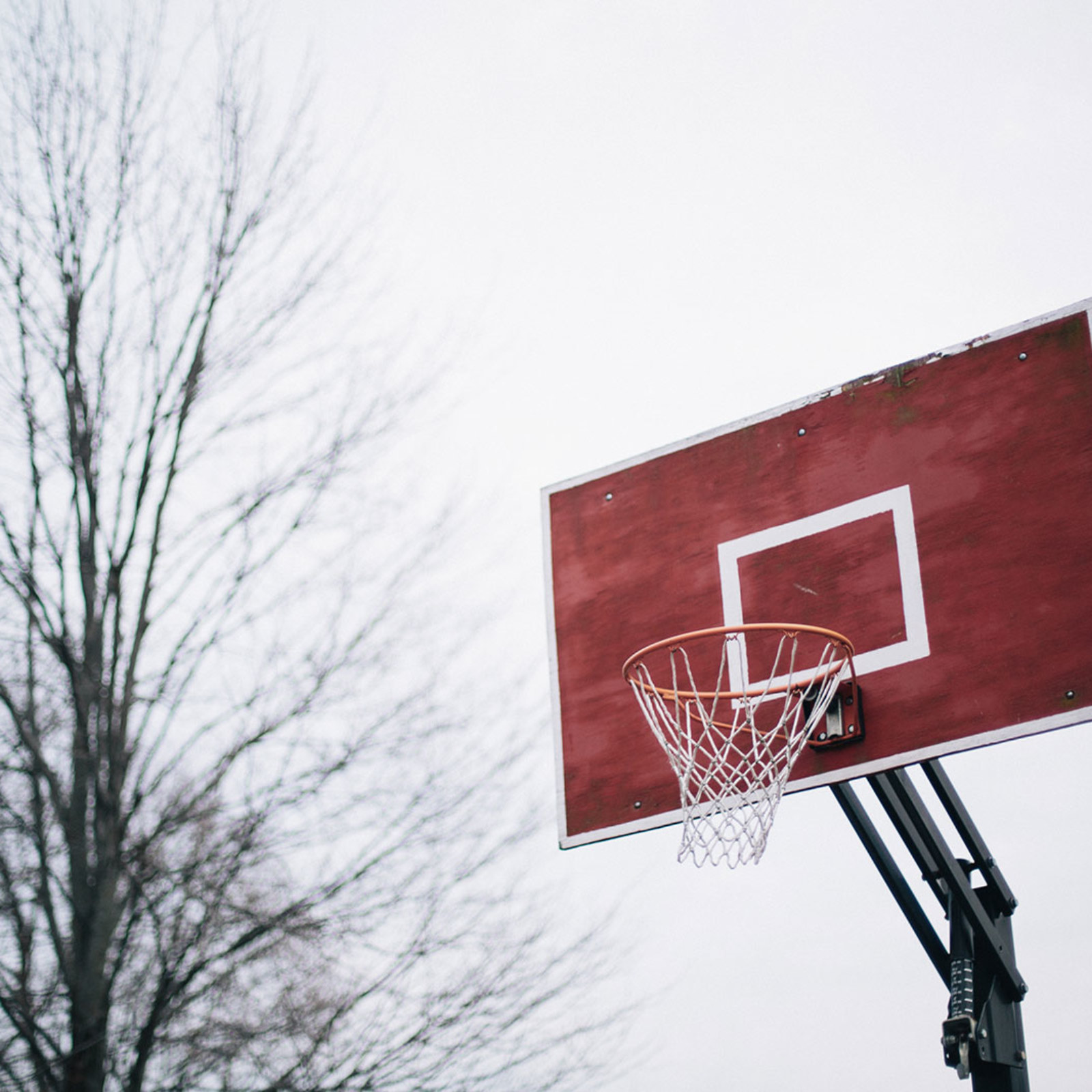 <?php echo pulse_output(); ?>