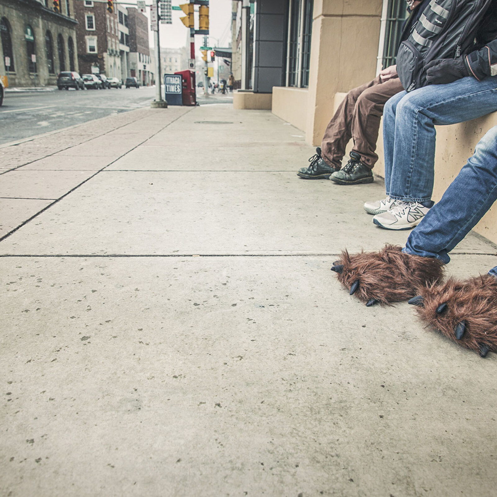 <?php echo pulse_output(); ?>