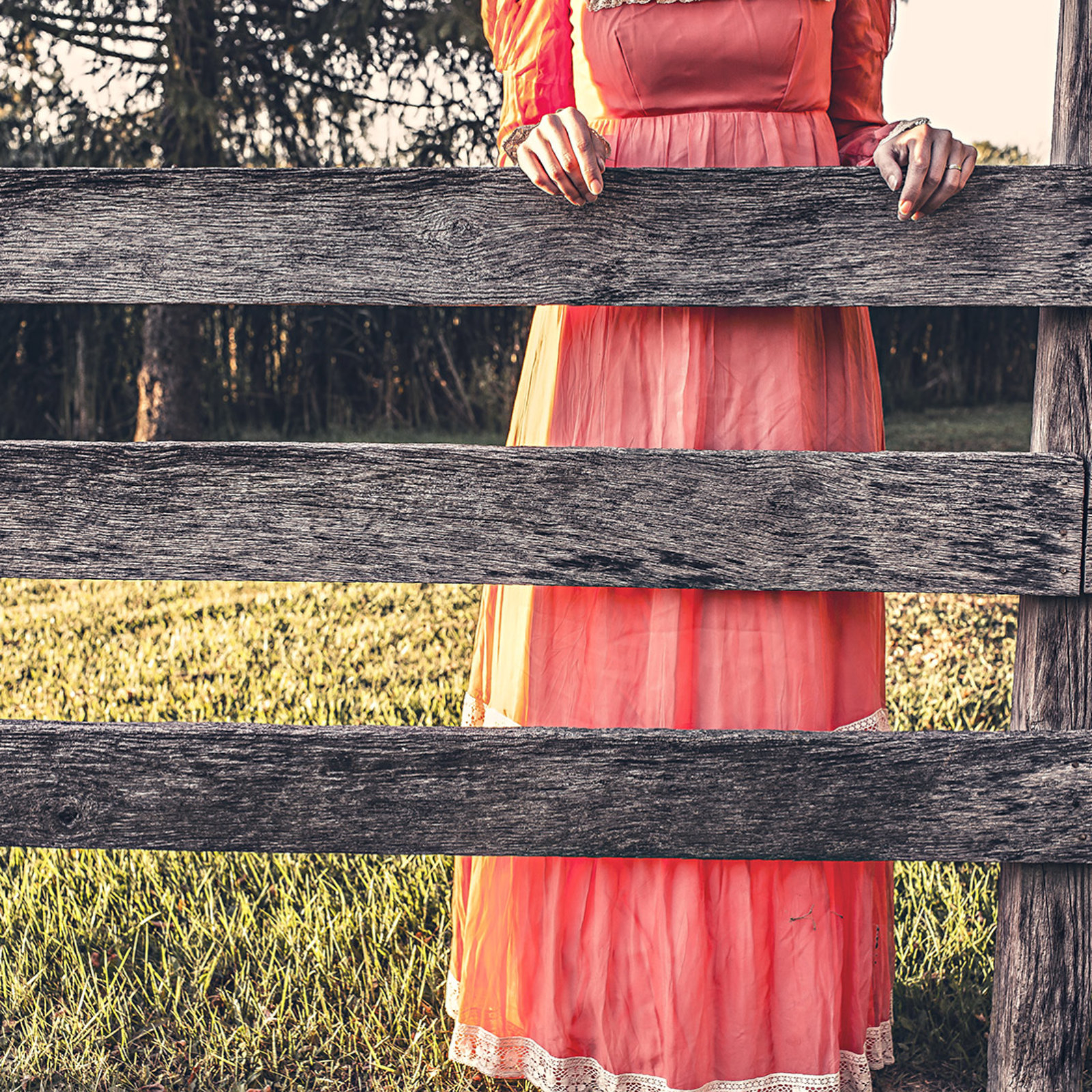 <?php echo pulse_output(); ?>